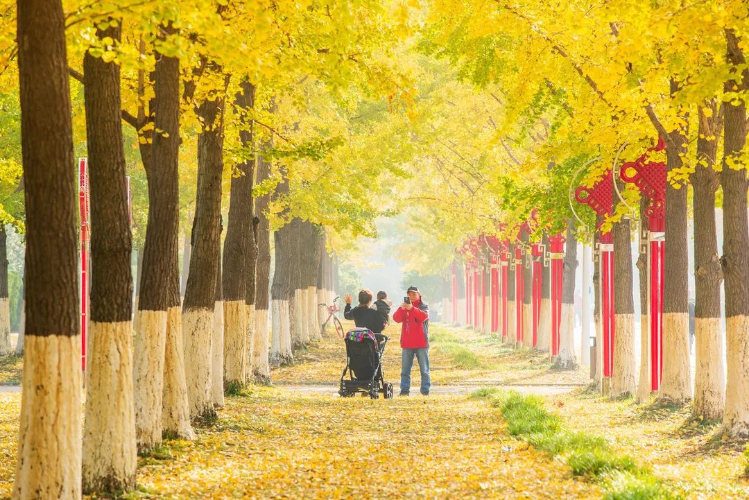 一文看遍大美南京河西，锦绣建邺