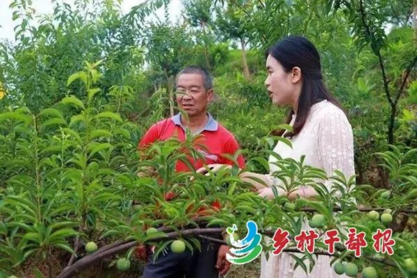 风采|四川省沐川县安坪村第一书记师玉容：有愧女儿无愧乡亲