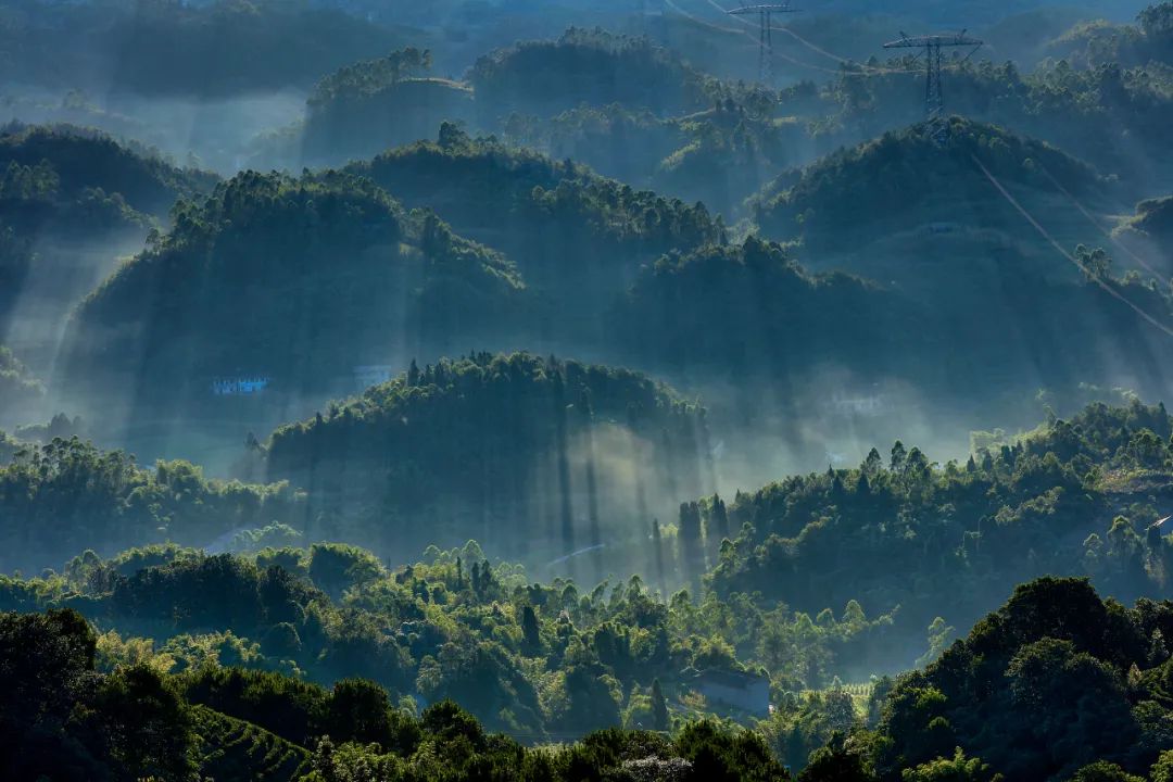 中国最漂亮的美女,中国的美女都去了哪