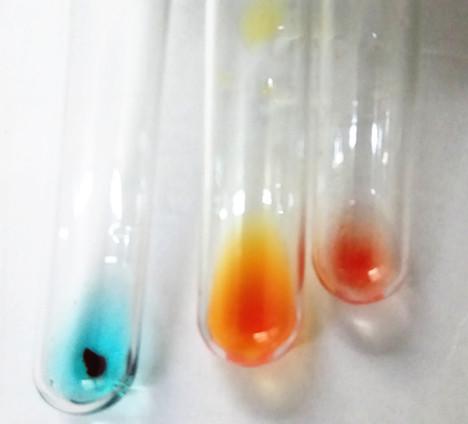 兄弟血型a型和b型有什么区别,怎么分辨血型a+和a-是什么血型