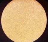 兄弟血型a型和b型有什么区别,怎么分辨血型a+和a-是什么血型