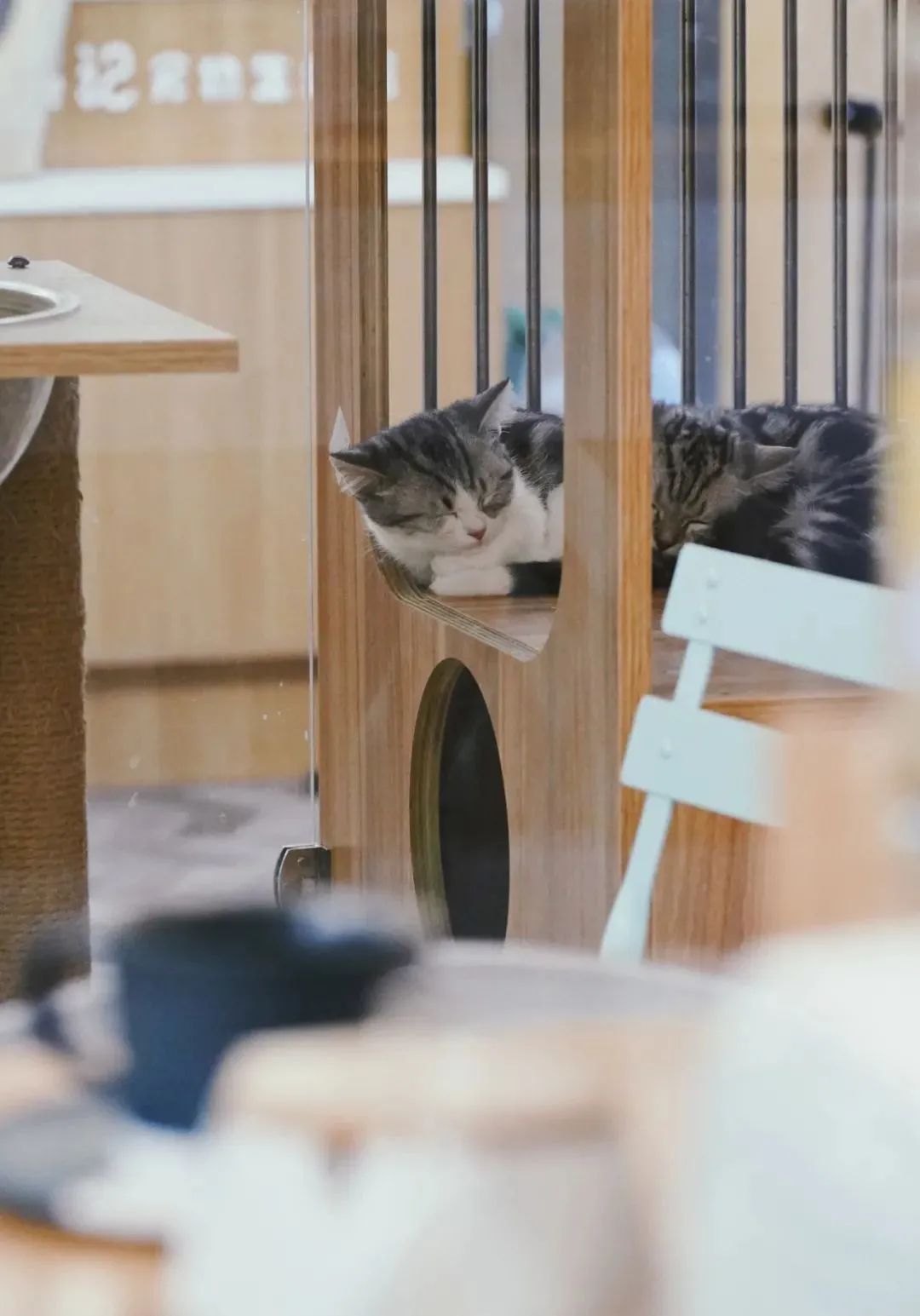 一杯coffee加“滨”,谢谢!