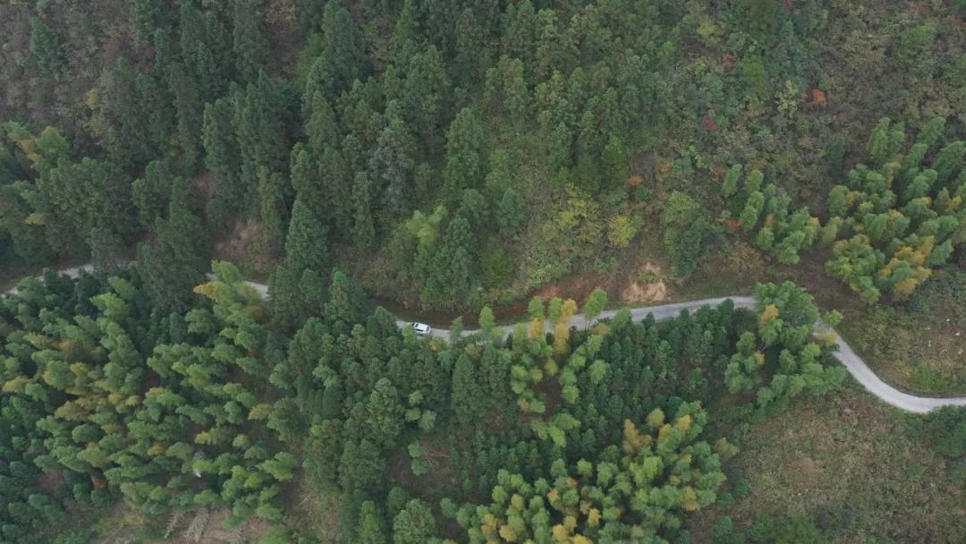 教师坚守初心牢记使命,不忘教师初心坚守三尺讲台