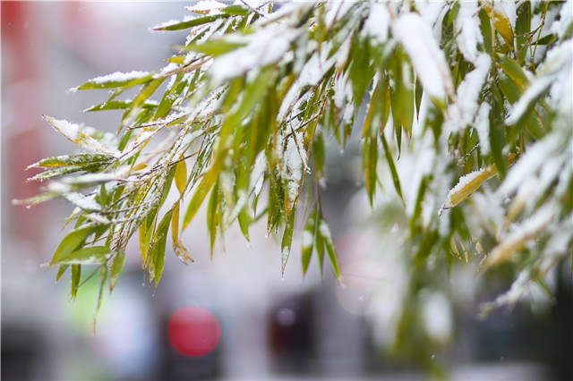 胃病引起的呼吸道疾病,胃病身心疾病