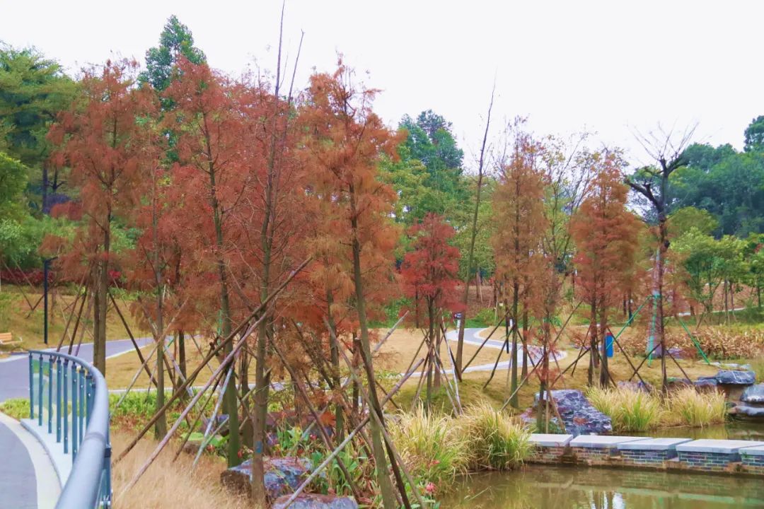 1月最美的佛山藏在这里！全部免费赏！
