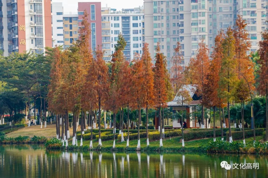 1月最美的佛山藏在这里！全部免费赏！