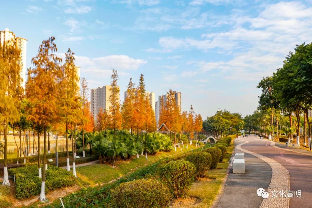 1月最美的佛山藏在这里！全部免费赏！