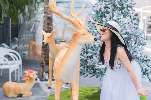 十二月来三亚也太惬意了,十二月来三亚也太惬意了吧