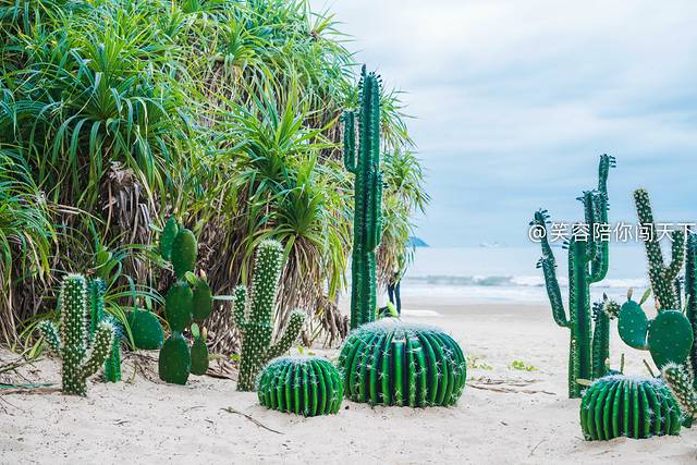 十二月来三亚也太惬意了,十二月来三亚也太惬意了吧