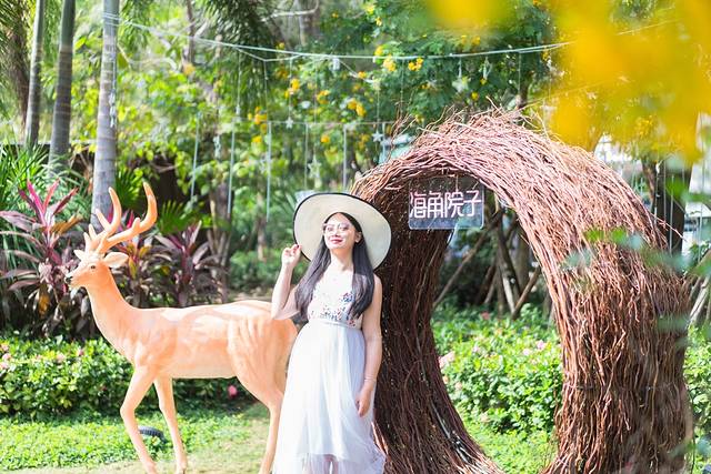 十二月来三亚也太惬意了,十二月来三亚也太惬意了吧