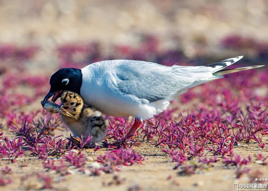 测一测你成为学霸的几率是多少,测一下你是学霸还是学渣的题