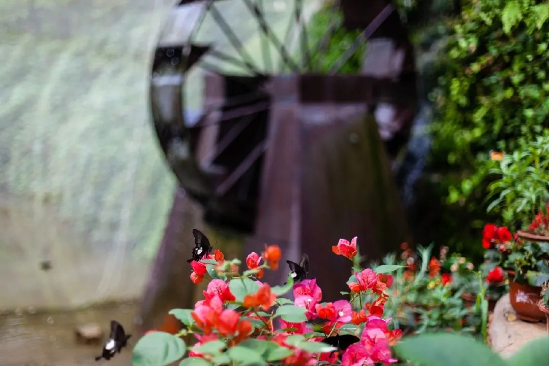 沂水冰雪童话大世界,沂水冬季打卡地