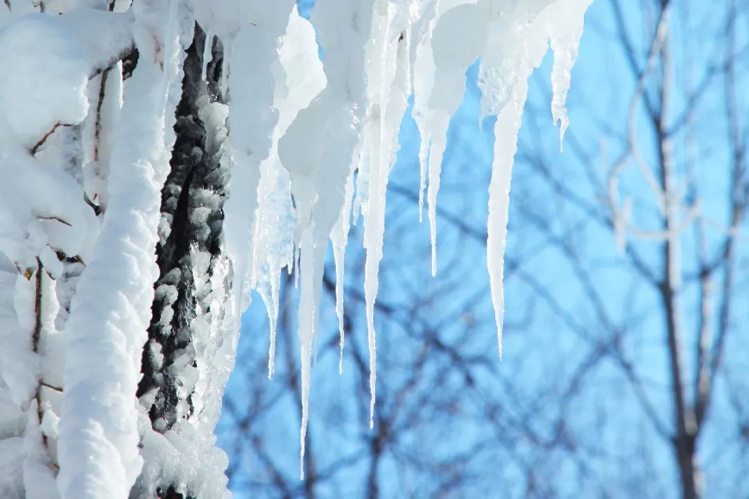 沂水冰雪童话大世界,沂水冬季打卡地
