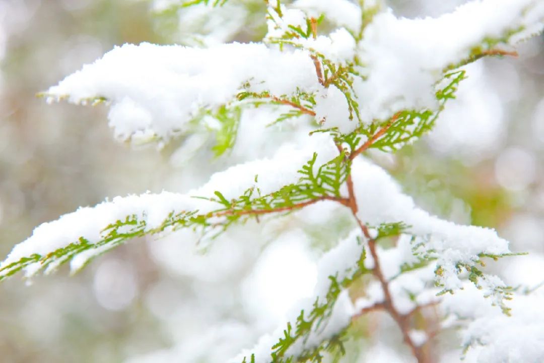 沂水冰雪童话大世界,沂水冬季打卡地