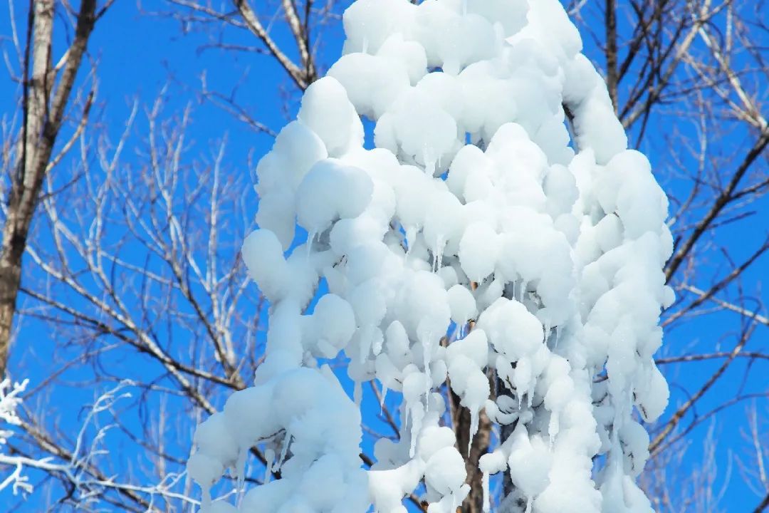 沂水冰雪童话大世界,沂水冬季打卡地