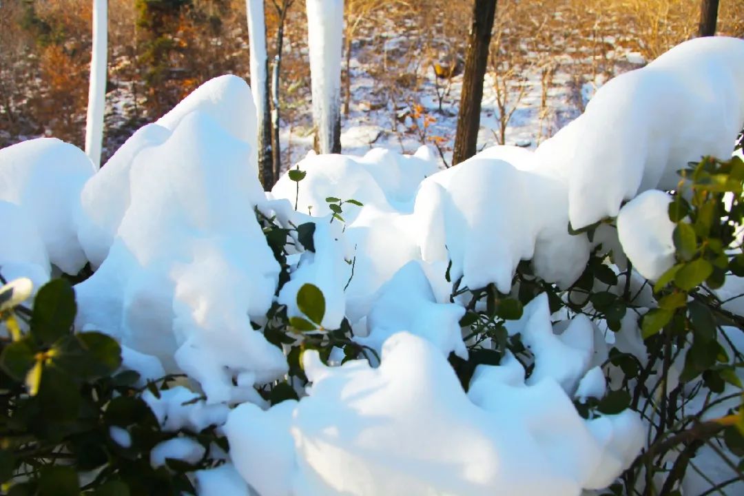 沂水冰雪童话大世界,沂水冬季打卡地