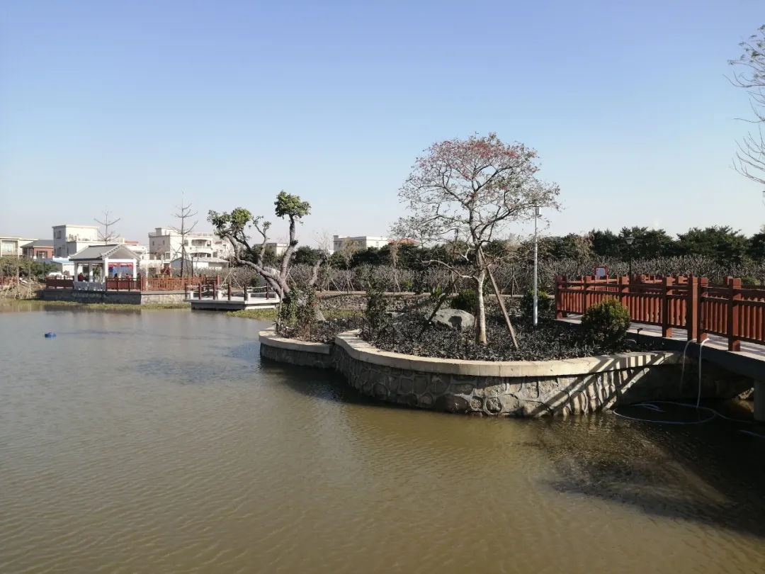 东凤公园最新通知,东凤公园今天最新视频