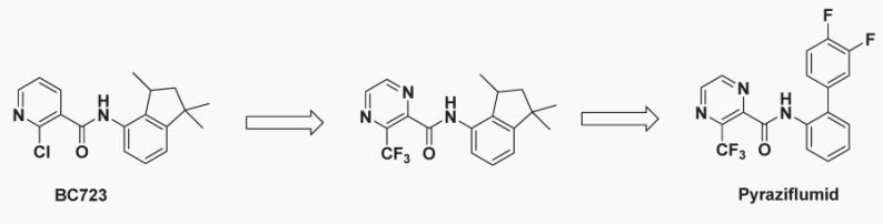 杀菌剂吡唑醚菌酯农药,吡唑醚菌酯农药杀菌剂