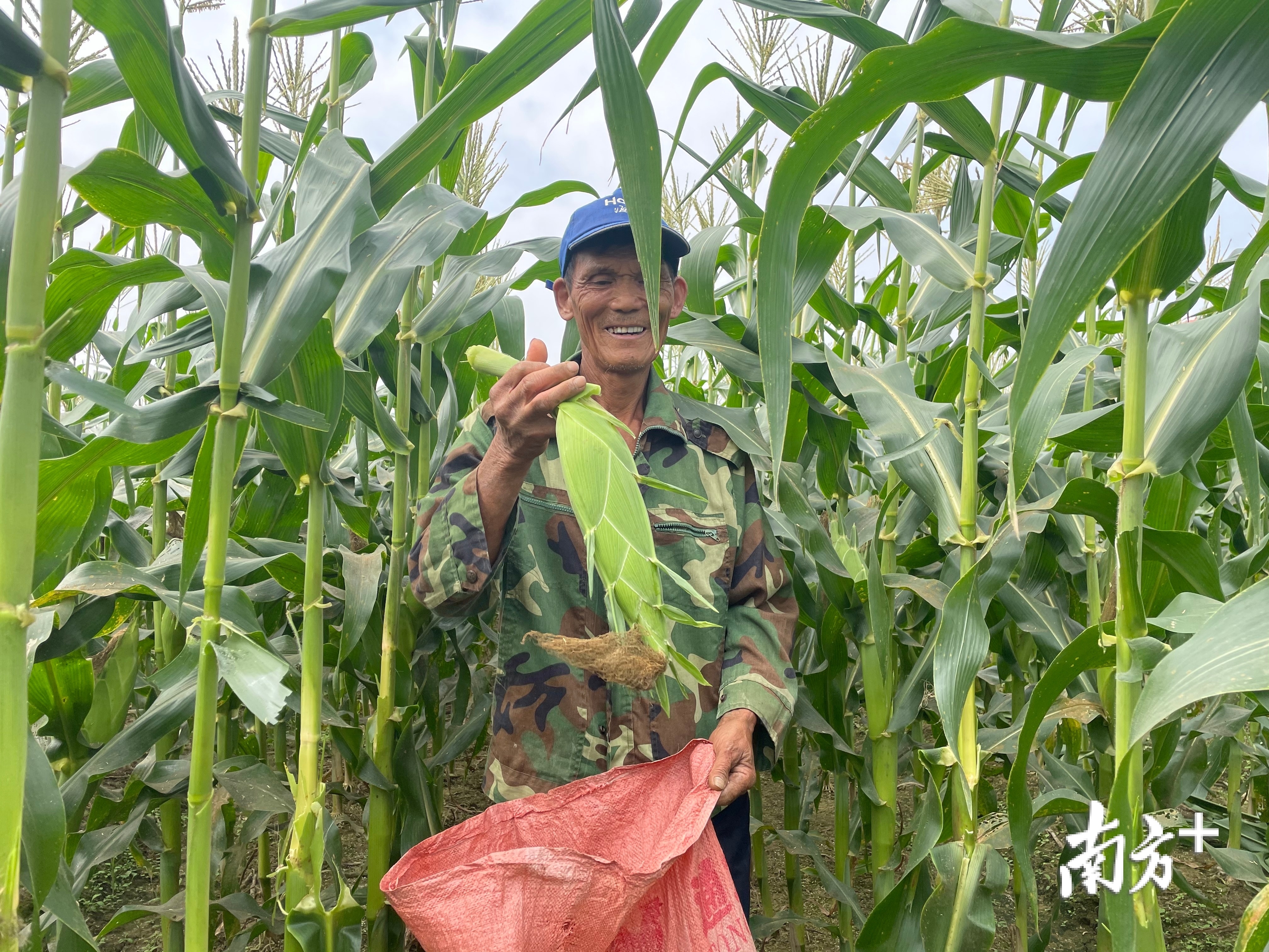 惠州惠城三农规划 (三农工作和乡村振兴措施)