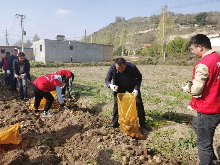 回望2020|@西宁人，请查收！专属于志愿者的关键词