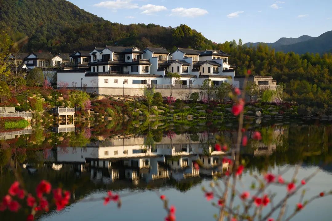 绿城有多厉害,18年浙江绿城