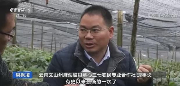 今日文山三七跌了吗,文山三七第一次价格暴涨是哪年