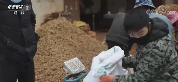 今日文山三七跌了吗,文山三七第一次价格暴涨是哪年