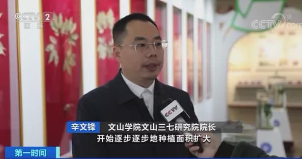 今日文山三七跌了吗,文山三七第一次价格暴涨是哪年