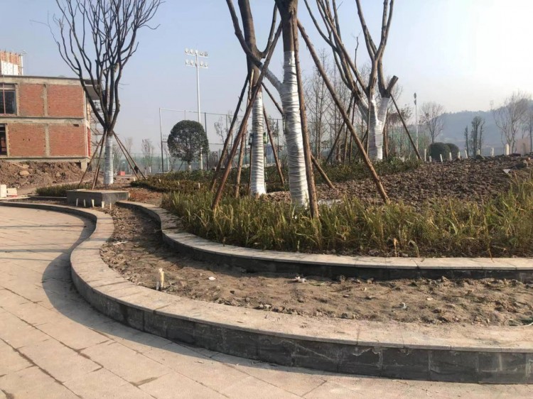 达州高家坝足球公园,高家坝足球公园足球场对外开放吗