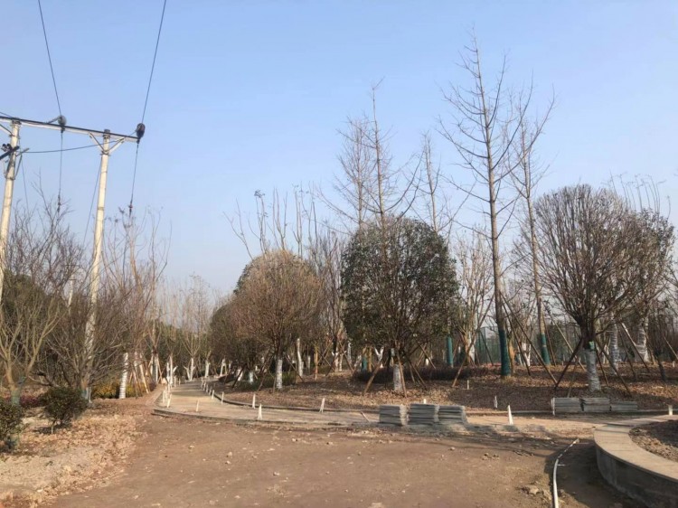 达州高家坝足球公园,高家坝足球公园足球场对外开放吗