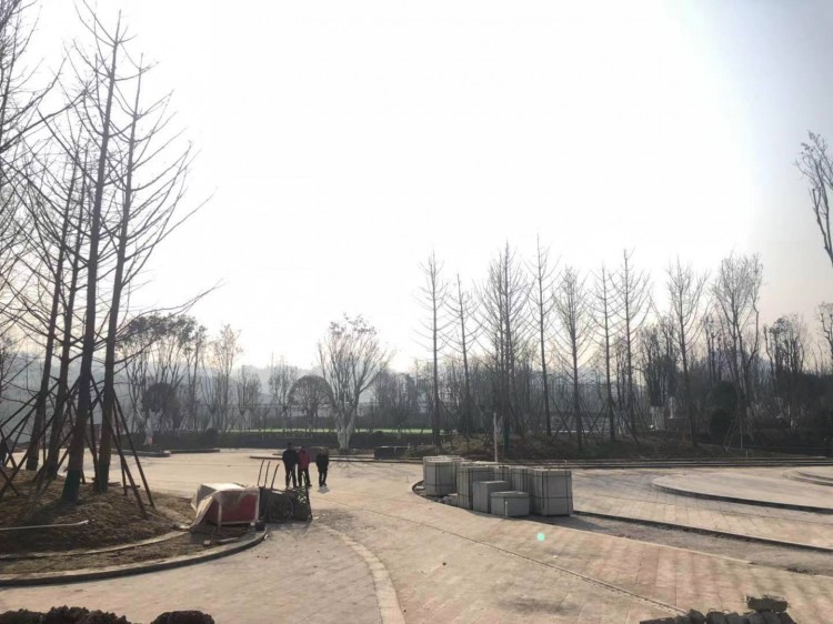 达州高家坝足球公园,高家坝足球公园足球场对外开放吗