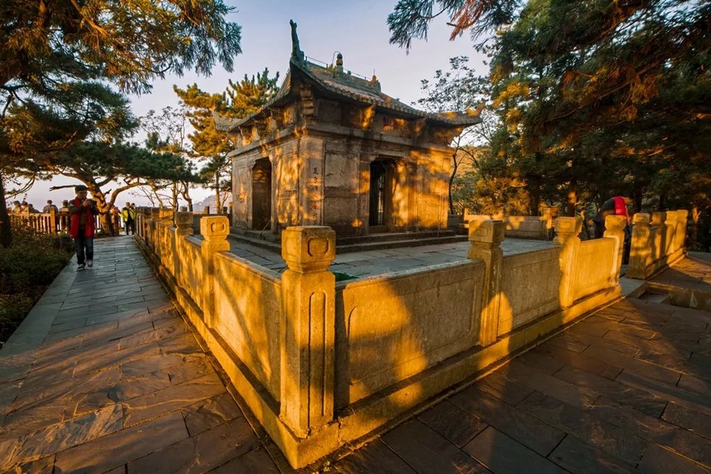 斜阳余晖全部视频,斜阳余晖下