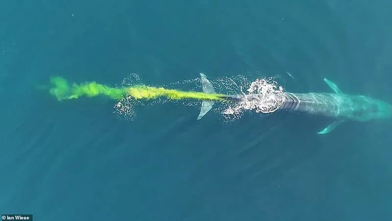 科技爱好者周刊第102期,科技爱好者周刊第67期