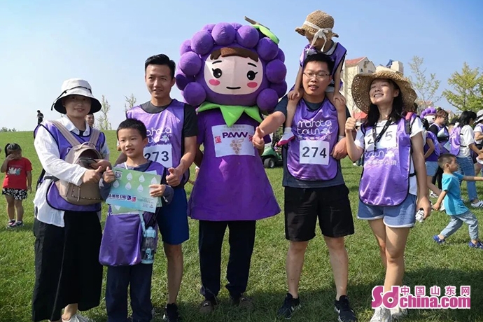 蓬莱文旅宣传片,文旅特色亮点工作总结