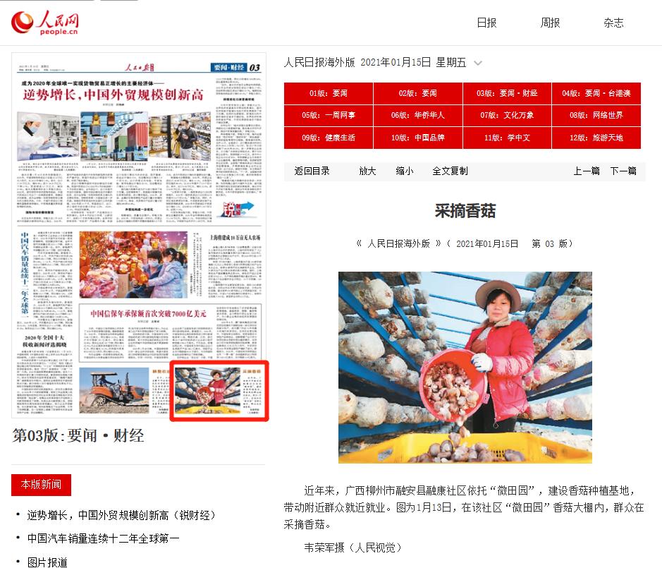 【关注】我县香菇产业飞上《人民日报》，看美味香菇如何做出可口菜肴！