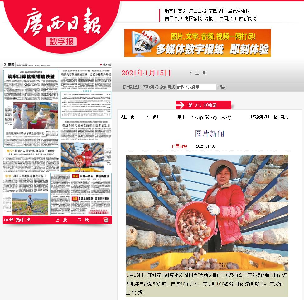 【关注】我县香菇产业飞上《人民日报》,看美味香菇如何做出可口菜肴!