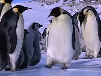 冰冰文章,今天的文章