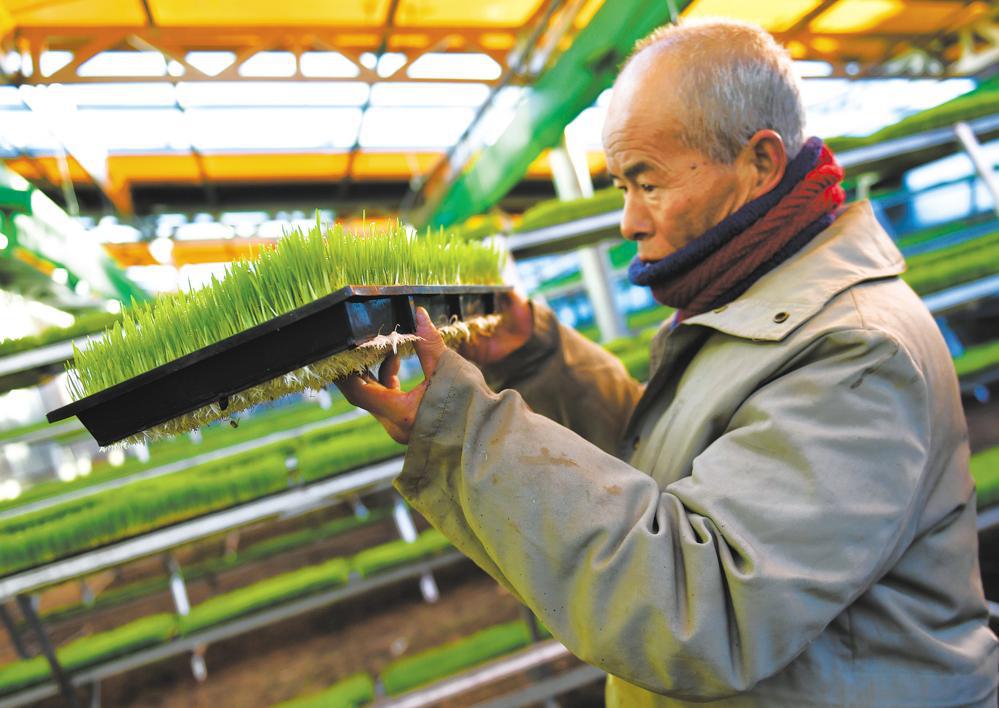 西宁新闻最新事件,西宁在线网新闻最新消息
