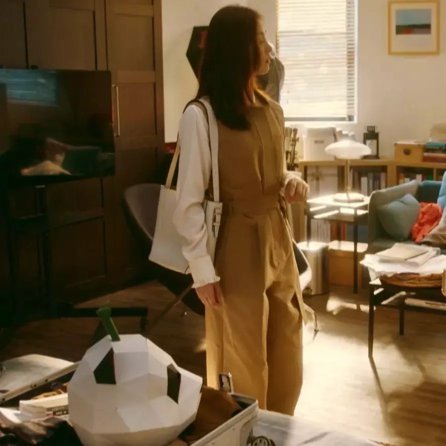 流金岁月中的包,流金岁月小众包