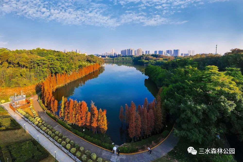 1月最美的佛山藏在这里！全部免费赏！