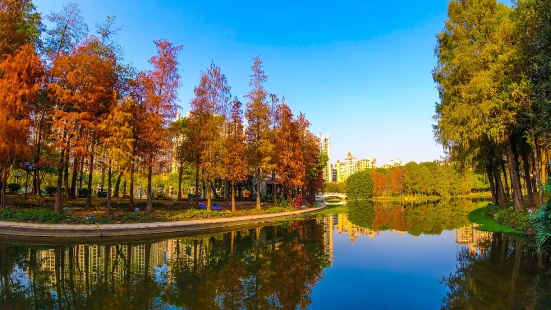 1月最美的佛山藏在这里！全部免费赏！