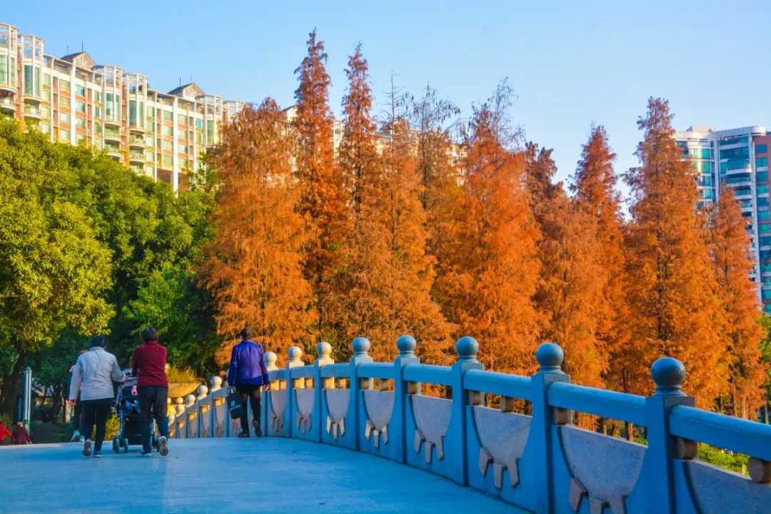 1月最美的佛山藏在这里！全部免费赏！