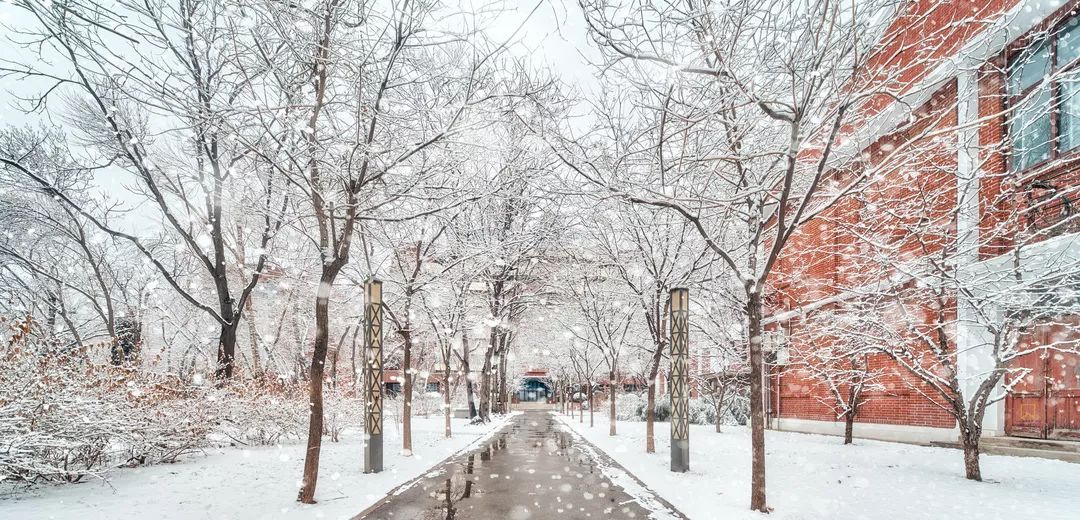 omg超实用的寒假指南请查收,天大学子
