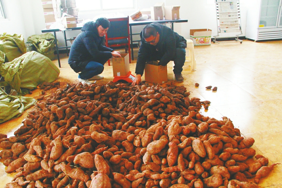 基层丨“糖坝”变奏曲——合川区盐井街道糖坝村发展农村电商壮大集体经济侧记