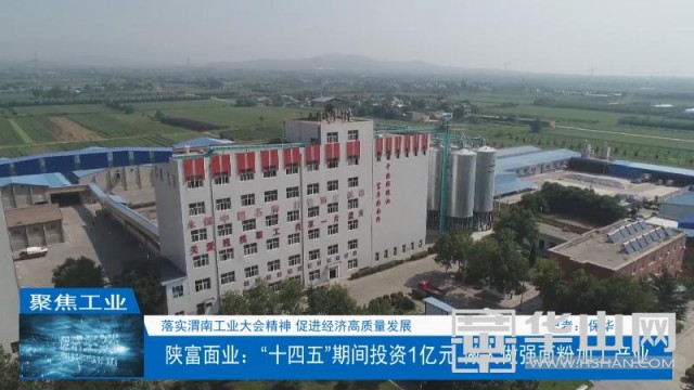 陕富面业发展趋势,陕西陕富面业产量