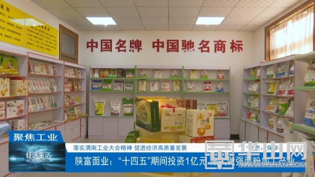 陕富面业发展趋势,陕西陕富面业产量