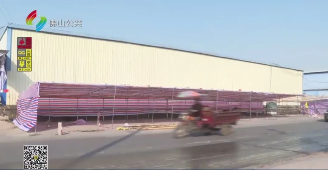 佛山今年哪里有花市,佛山市内哪里有年花批发