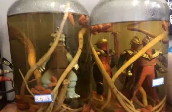 男的接吻为什么总要摸胸啊?(穹妹兔女郎紫色皮肤)