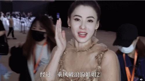 隆鼻张柏芝鼻型,浪姐张柏芝新消息