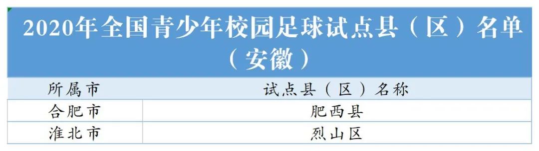合肥小学幼儿园划分,教育部中小学幼儿园
